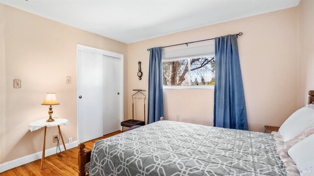 bedroom featuring wood-type flooring and a closet