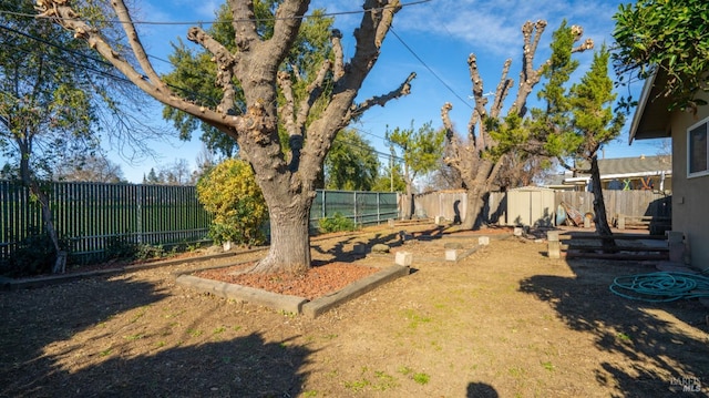 view of yard featuring a storage shed