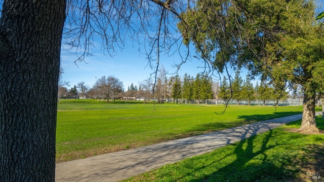 view of community featuring a lawn