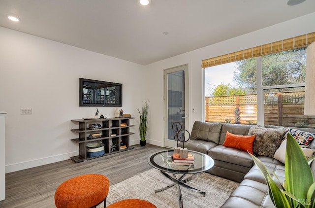 living room with hardwood / wood-style floors