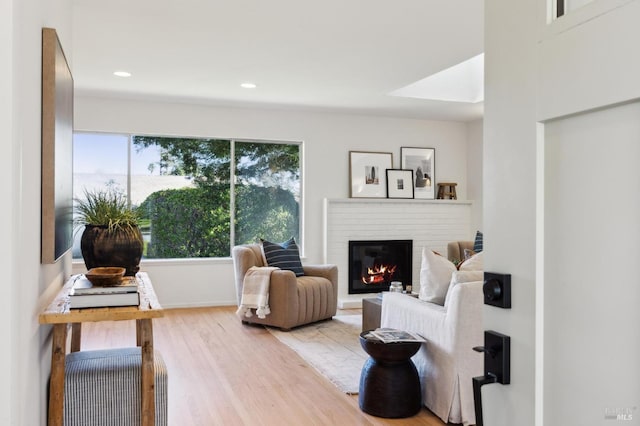 living room featuring a fireplace and light hardwood / wood-style floors