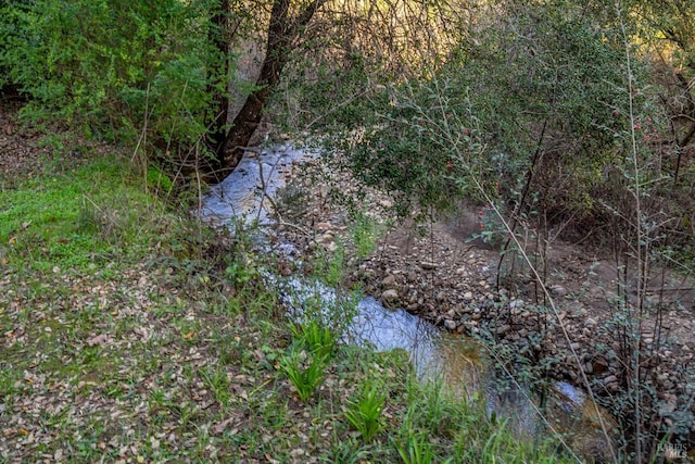 view of local wilderness