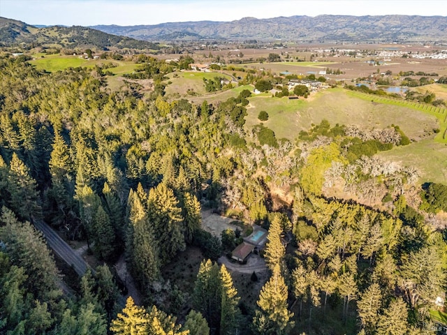 aerial view featuring a mountain view