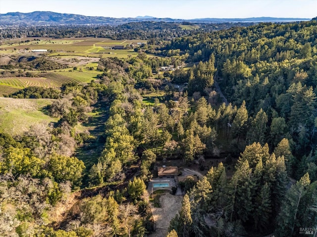 aerial view featuring a mountain view