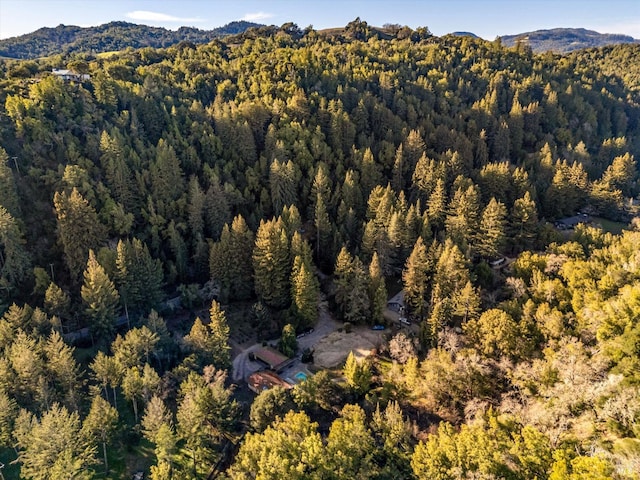 aerial view with a mountain view