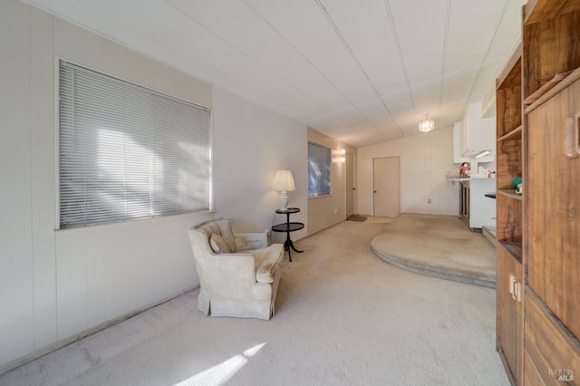 living area featuring light colored carpet