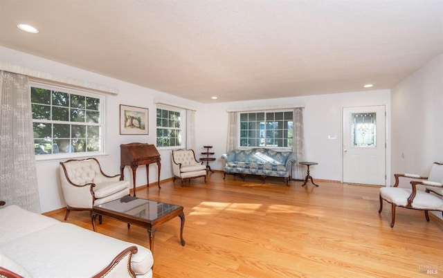 living area with light wood-type flooring and a wealth of natural light