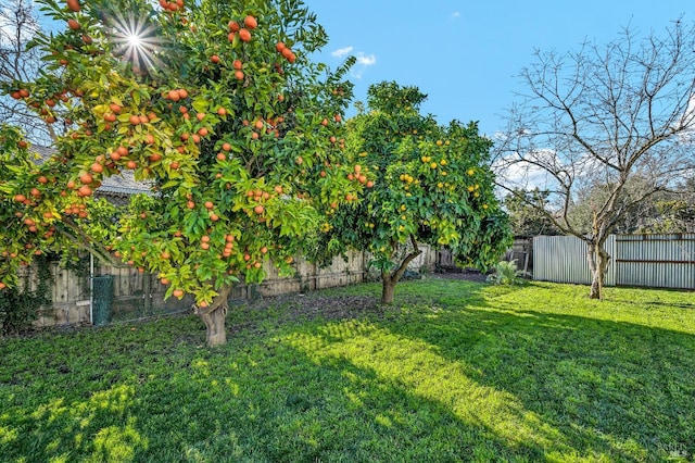 view of yard featuring a fenced backyard