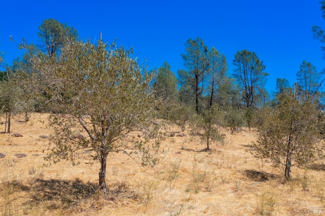 view of landscape