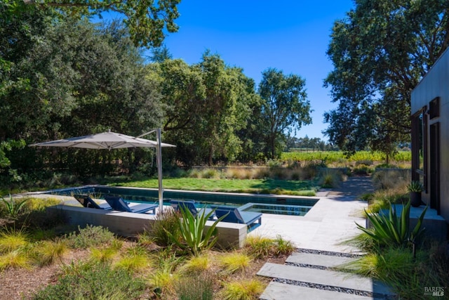 view of swimming pool