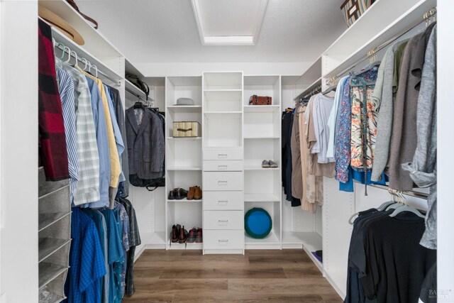 spacious closet featuring hardwood / wood-style floors