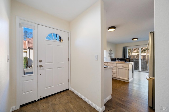 foyer entrance with dark hardwood / wood-style flooring