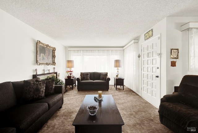 living room featuring a textured ceiling and carpet