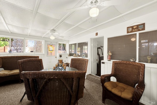 dining area featuring carpet, a sunroom, and ceiling fan