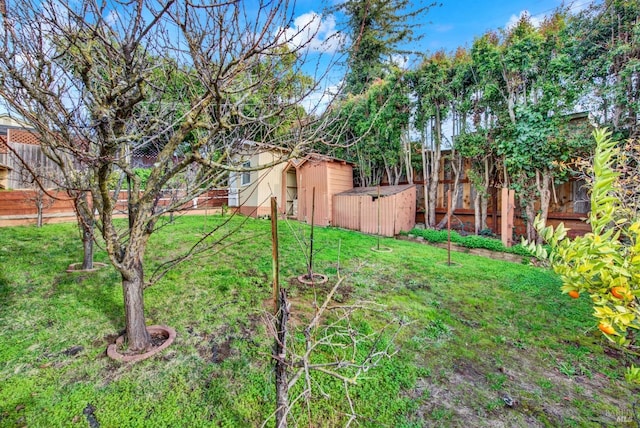 view of yard with an outbuilding, a fenced backyard, and a storage shed