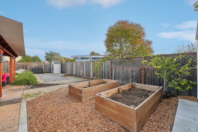 view of yard featuring a shed