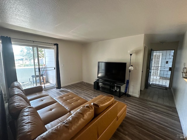 living room with a textured ceiling and hardwood / wood-style floors