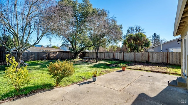 view of yard with a patio