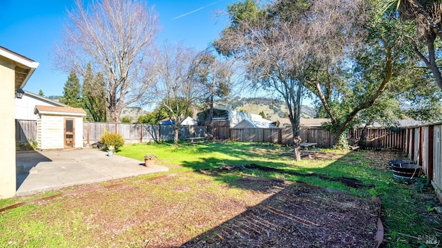 view of yard featuring a patio and a shed