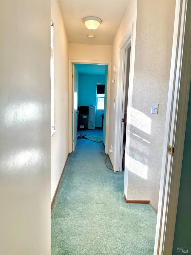 hallway featuring carpet, baseboards, and a textured wall