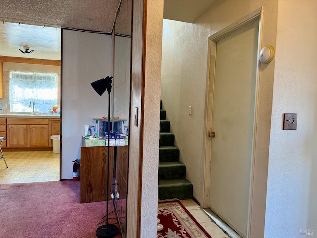 stairs featuring carpet flooring and a textured wall