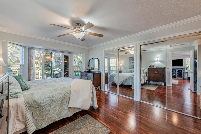 bedroom featuring crown molding, multiple windows, wood-type flooring, and multiple closets