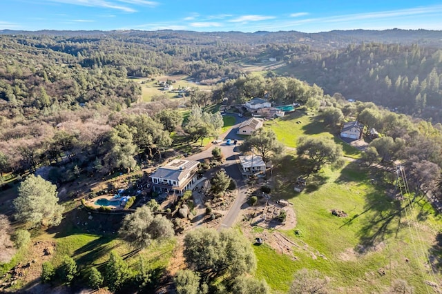 aerial view with a forest view