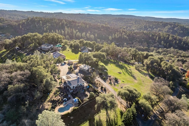 bird's eye view with a forest view