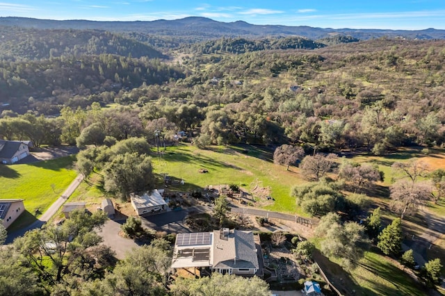 birds eye view of property featuring a forest view and a mountain view