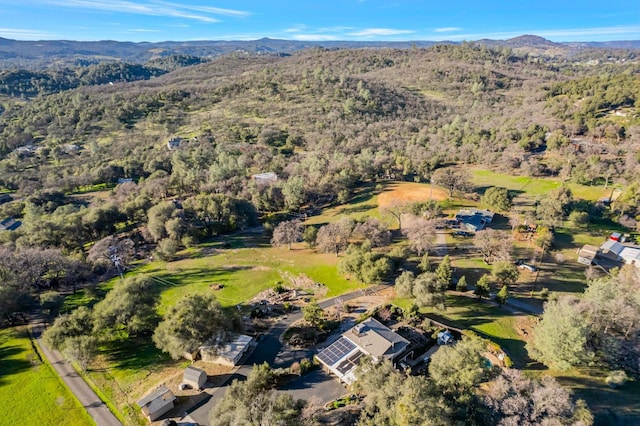 drone / aerial view featuring a mountain view and a forest view