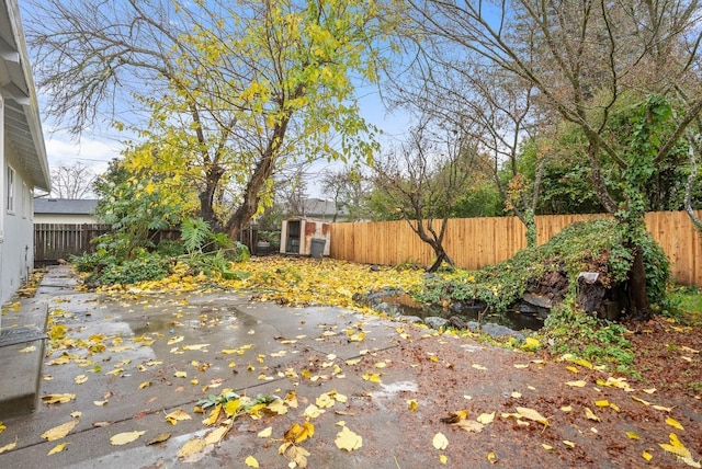 view of yard with a patio area