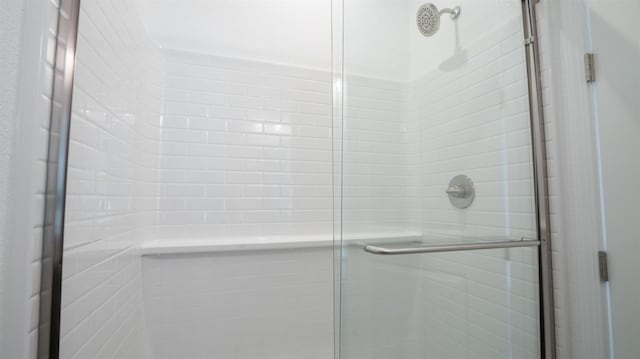 bathroom featuring a shower with shower door