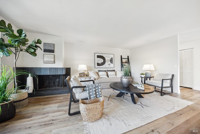 living room with a fireplace and light hardwood / wood-style flooring