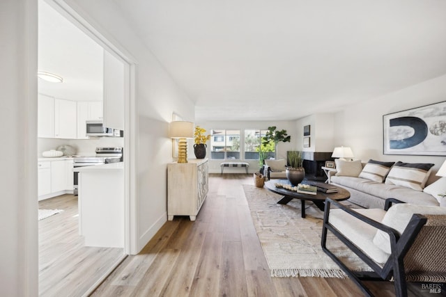 living room featuring light hardwood / wood-style floors