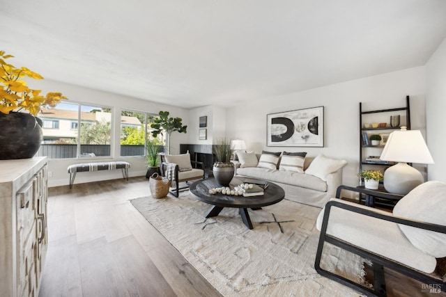 living room featuring light hardwood / wood-style floors