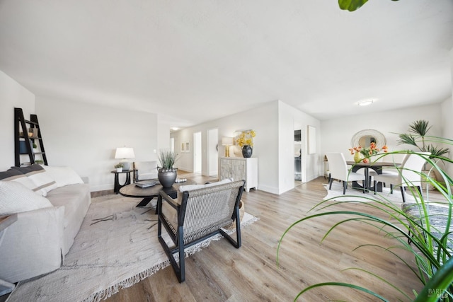 living room with light wood-type flooring