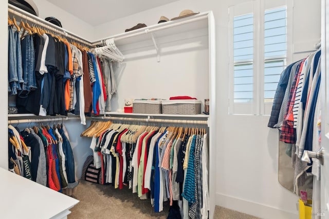 spacious closet with carpet floors