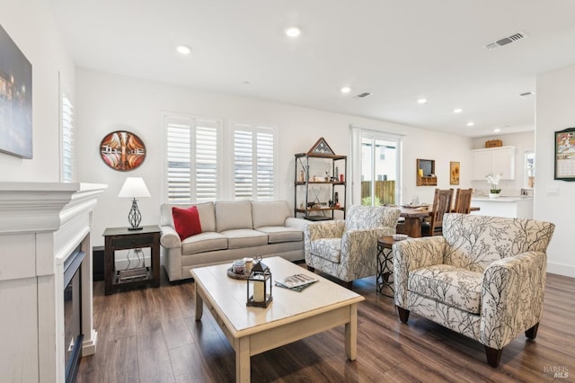 living room featuring dark wood-type flooring