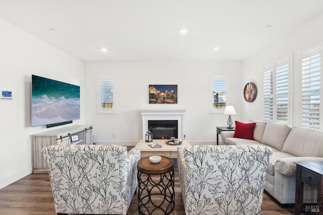 living room with dark wood-type flooring