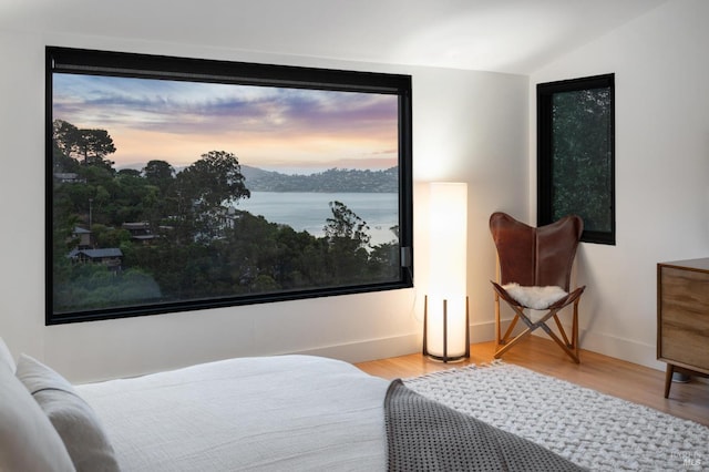 bedroom featuring light hardwood / wood-style floors, a water view, and lofted ceiling