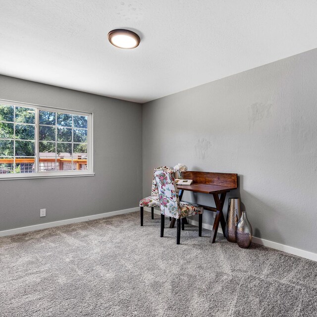 interior space featuring carpet flooring