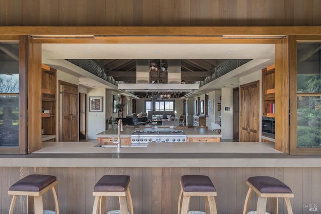 kitchen with sink, a kitchen bar, and stove