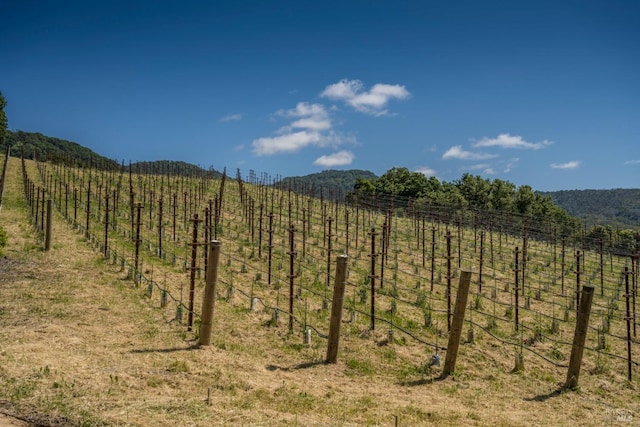 property view of mountains with a rural view