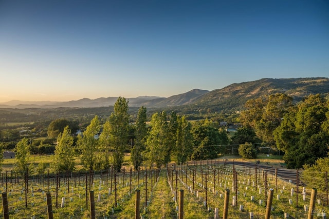 property view of mountains with a rural view