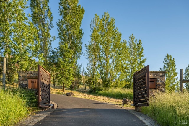view of road with driveway