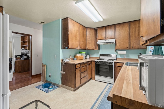 kitchen with fridge, sink, white range with gas stovetop, and a textured ceiling