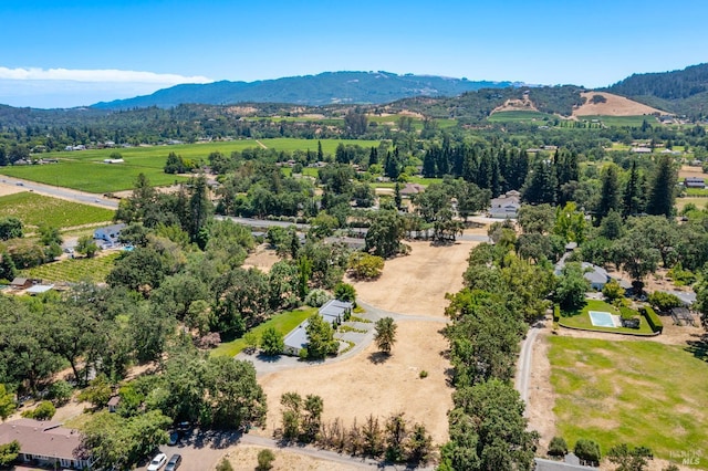 drone / aerial view featuring a mountain view