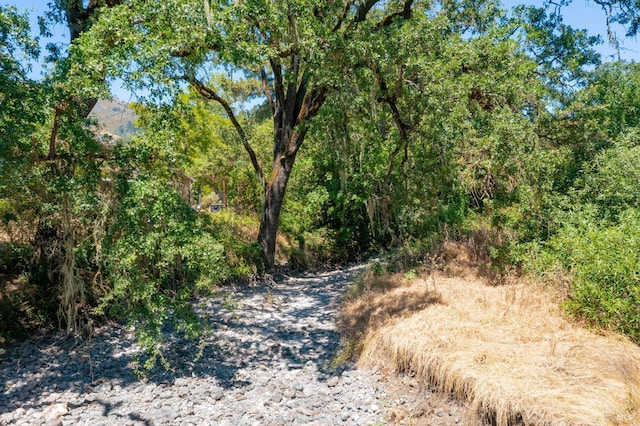 view of landscape