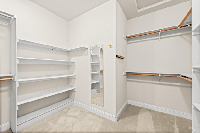 walk in closet featuring carpet floors
