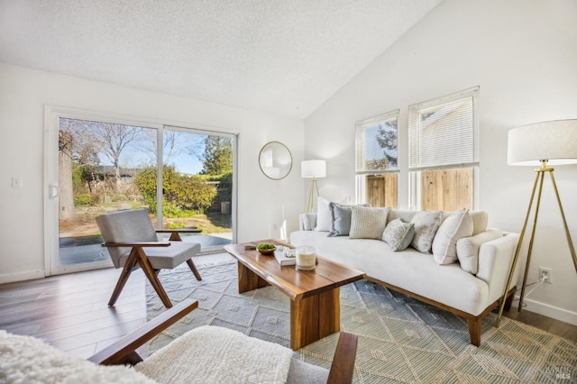 living room featuring lofted ceiling, a textured ceiling, light hardwood / wood-style floors, and a healthy amount of sunlight